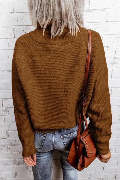 Brown Zip Knitted High Neck Sweater